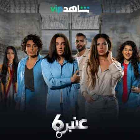 مسلسل عنبر 6 الحلقة 8 الثامنة