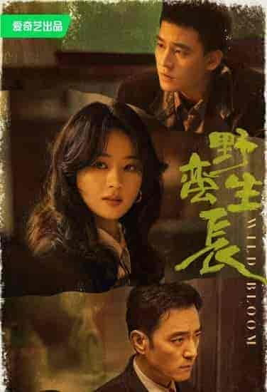 مسلسل النمو الوحشي Wild Bloom الحلقة 36 والاخيرة مترجمة